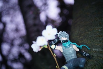 114617