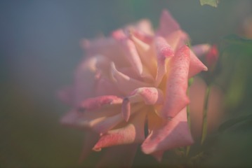 119064
