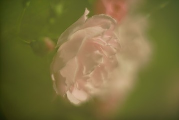 119082
