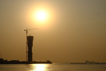 _DSF2393