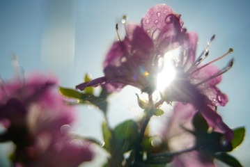 120803