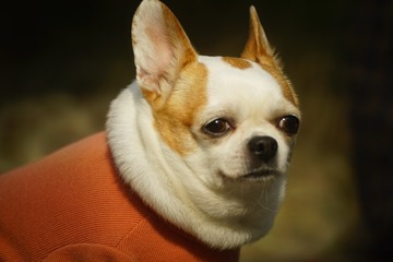 113196