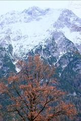 DSCF2712