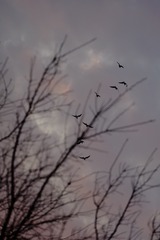 1120519