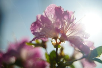 120801