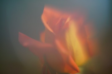 119033