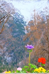DSCF2720