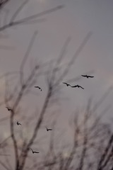 1120520