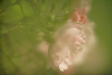 119086