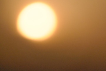 DSCF3375