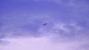 _DSF4246