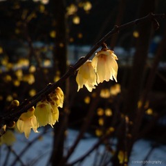 2013-02-20-0571.jpg
