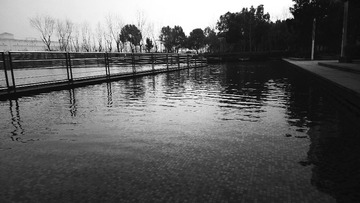 L1020158.JPG