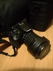 54847