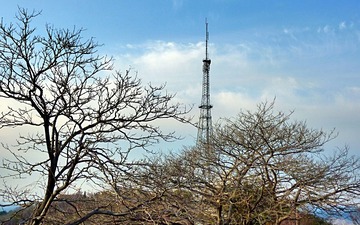 985352