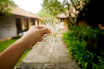 DSC07293-2.jpg
