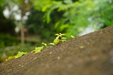 DSC07317-2.jpg
