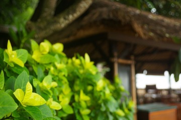 DSC07322-2.jpg