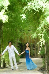 DSC07411-2.jpg