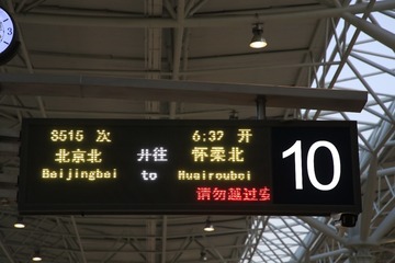 鱼儿