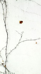 IMG_20130208_171122.jpg