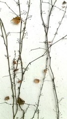 IMG_20130208_171018.jpg