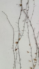 IMG_20130208_170838.jpg