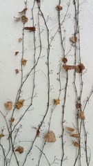 IMG_20130208_170813.jpg