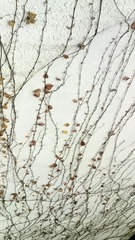 IMG_20130208_170548.jpg