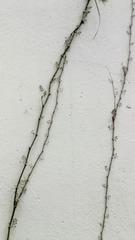 IMG_20130208_165723.jpg