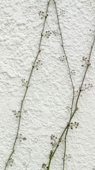 IMG_20130208_165652.jpg
