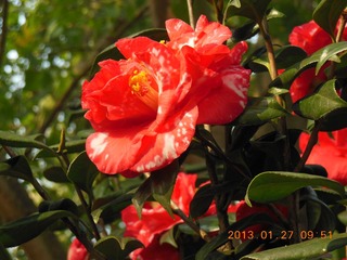DSCN1059.JPG