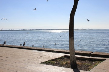 IMG_6943.JPG
