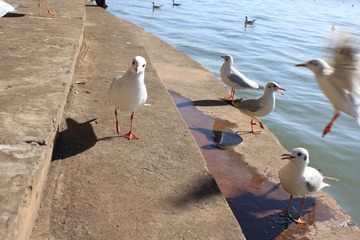 IMG_6958.JPG