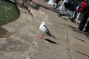 IMG_6983.JPG