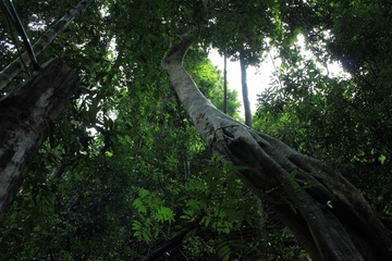 IMG_7019.JPG