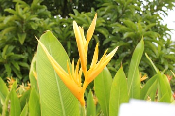 IMG_7095.JPG