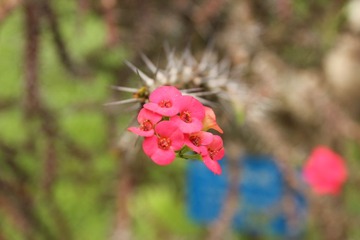 IMG_7106.JPG