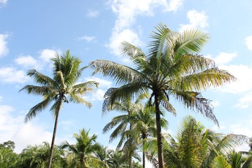 IMG_7115.JPG