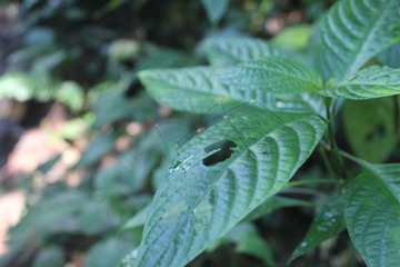 IMG_7150.JPG