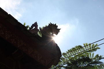 IMG_7178.JPG
