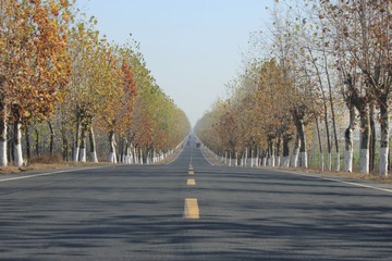 路0001
