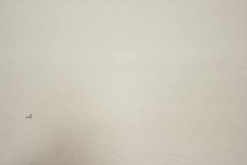 潘安湖0001