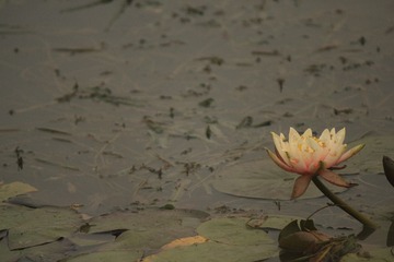 潘安湖0003