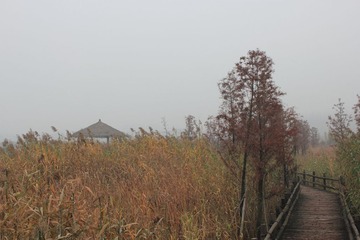潘安湖0005