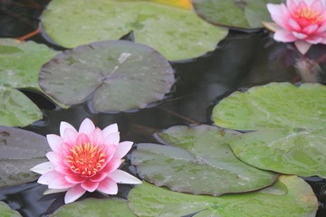 潘安湖0007