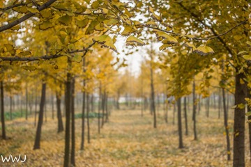IMG_9011-1-2