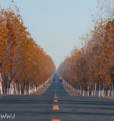 IMG_9022-1-2