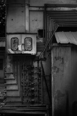 IMG_2394-7