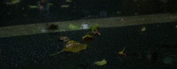 IMG_4067-编辑 